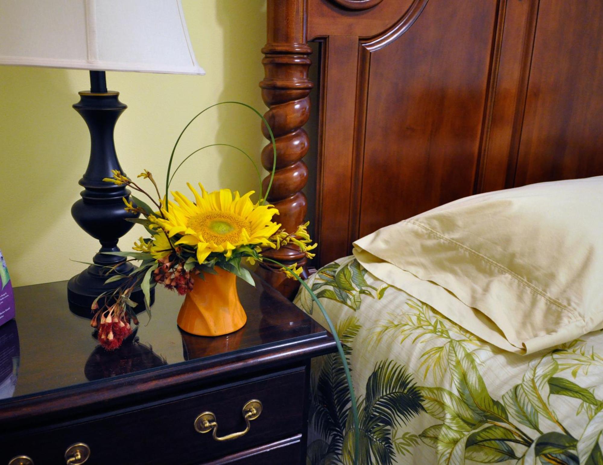 R&B Award Winning B&B - Adult Only New Orleans Cameră foto
